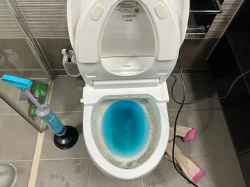 세종 · 변기막힘
